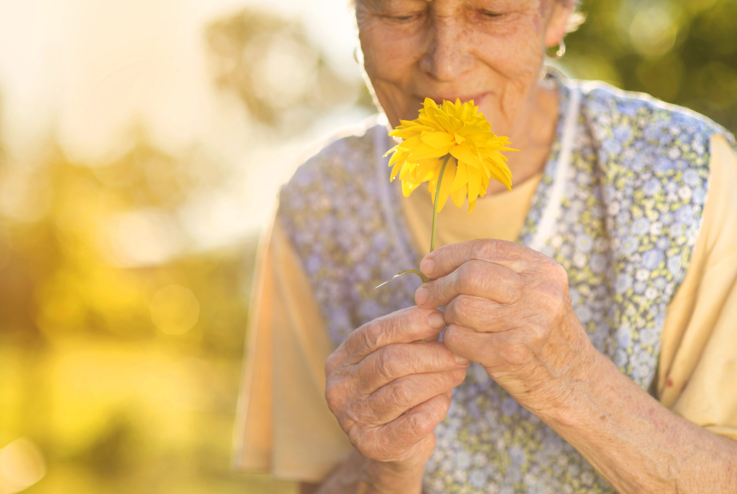 Are We Valuing the Wisdom and Contributions of Older Adults?